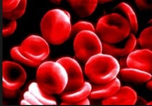 HIERRO: SUPLEMENTACIÓN Y TRATAMIENTO - EN NIÑOS