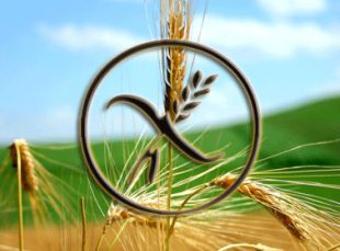 CARACTERISTICAS SEROLOGICAS EN LA EFERMEDAD CELIACA EN NIÑOS – 