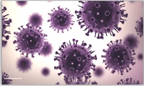 VACUNAS PARA LA GRIPE (2018)